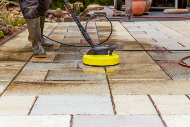 Best Animal Enclosure Cleaning  in Franklin, OH